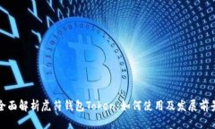 全面解析虎符钱包Token：如