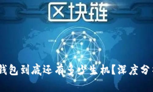 Plus Token钱包到底还有多少生机？深度分析及未来展望
