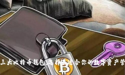 小揭秘三大比特币钱包，选择最适合你的数字资产管理方案