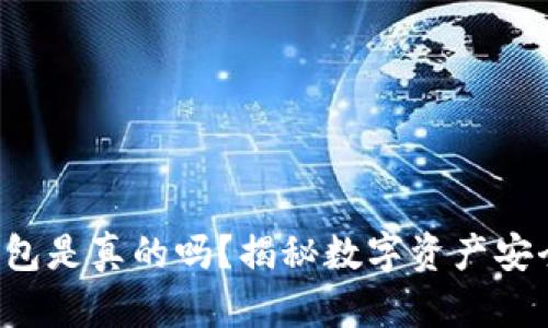 Token钱包是真的吗？揭秘数字资产安全与风险