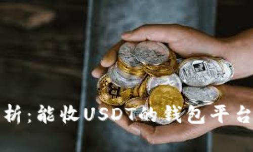 全面解析：能收USDT的钱包平台大盘点