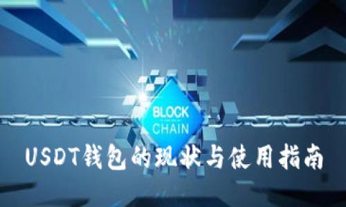 USDT钱包的现状与使用指南