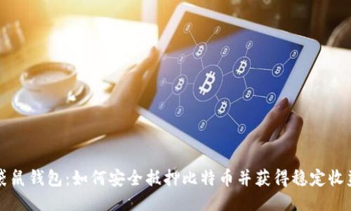 袋鼠钱包：如何安全抵押比特币并获得稳定收益