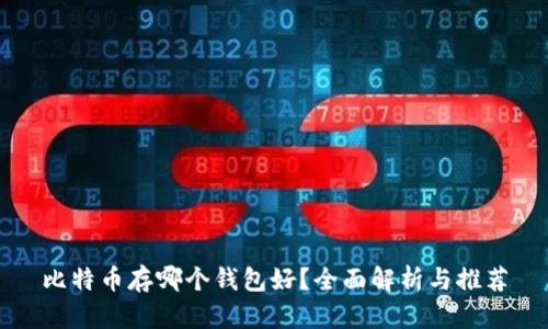 比特币存哪个钱包好？全面解析与推荐