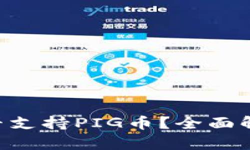 Token钱包是否支持PIG币？全面解析及使用指南