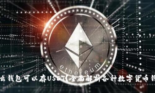 什么钱包可以存USDT？全面解析各种数字货币钱包