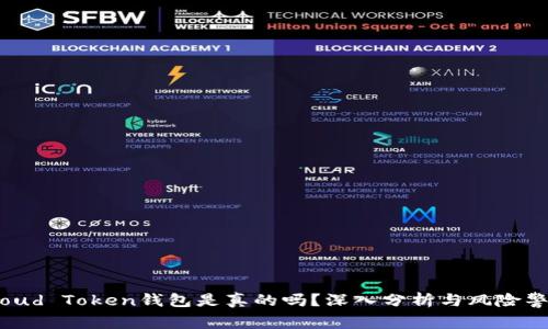Cloud Token钱包是真的吗？深入分析与风险警示