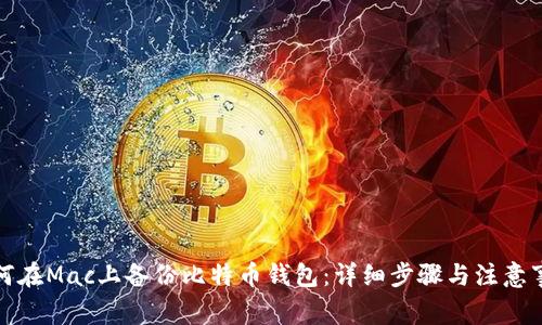 如何在Mac上备份比特币钱包：详细步骤与注意事项
