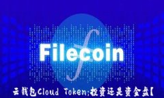 云钱包Cloud Token：投资还是资金盘？