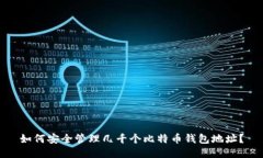 如何安全管理几千个比特币钱包地址？