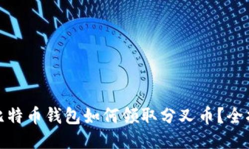 : 比特币钱包如何领取分叉币？全指南